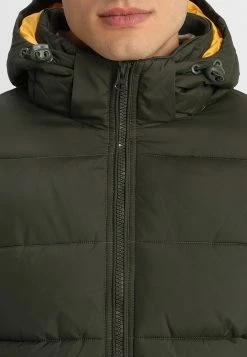 Indicode Jeans JUAN DIEGO - Winterjacke - Forest -INDICODE JEANS Kleidung 0fcd4000656142d09d3e41cc063886a1